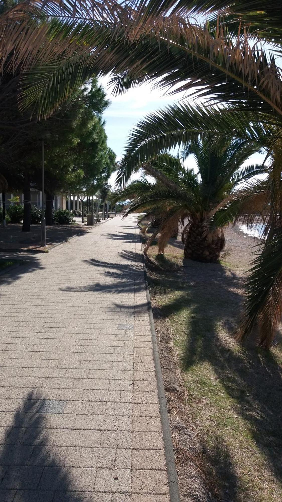 House Susec Apartman Povljana Kültér fotó