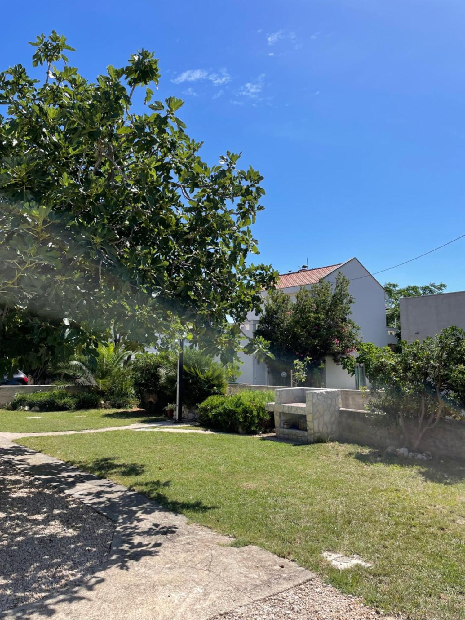 House Susec Apartman Povljana Kültér fotó